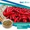 World Well-Being Plant Extract China Supplier Pepper Extract